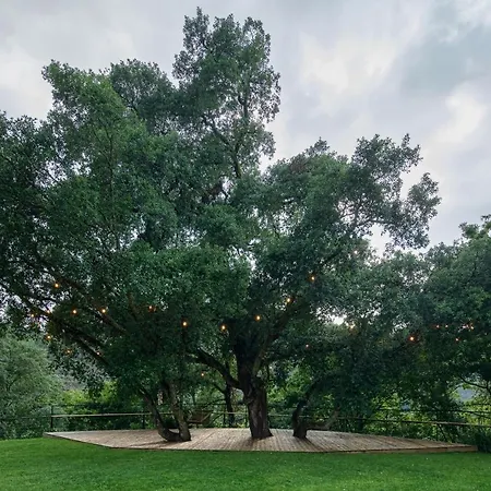 Casa Do Rio مزرعة للإقامة مونديم دي باستو