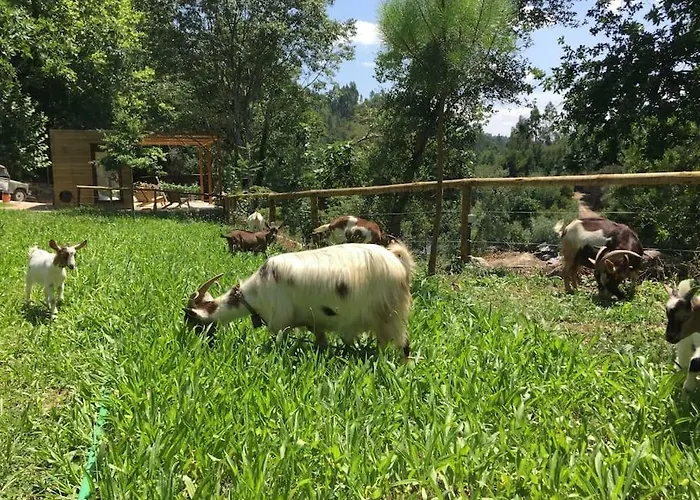 Çiftlik konaklama Casa Do Rio *