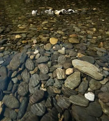 Casa Do Rio * مونديم دي باستو